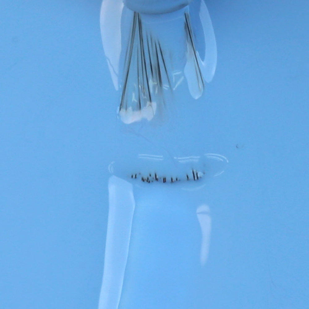 Esmalte Impala Cremoso Movimenta Nadar De Braçada 7,5ml