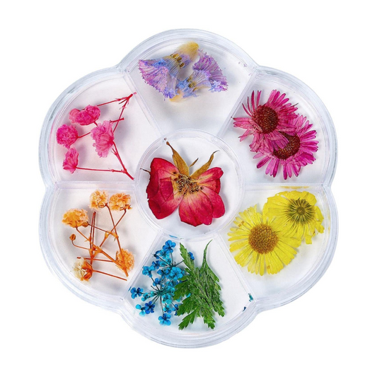 Kit Flores Secas