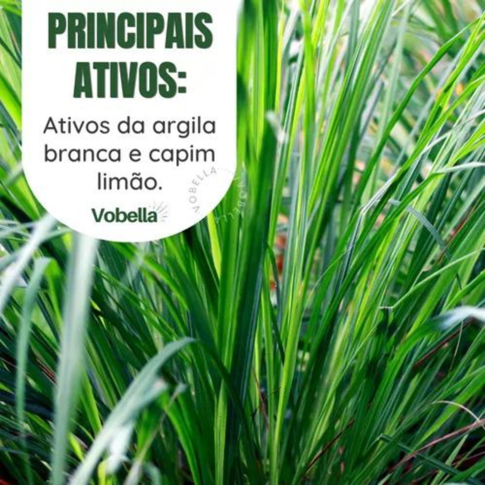 Creme Esfoliante Labotrat 300g Capim Limão