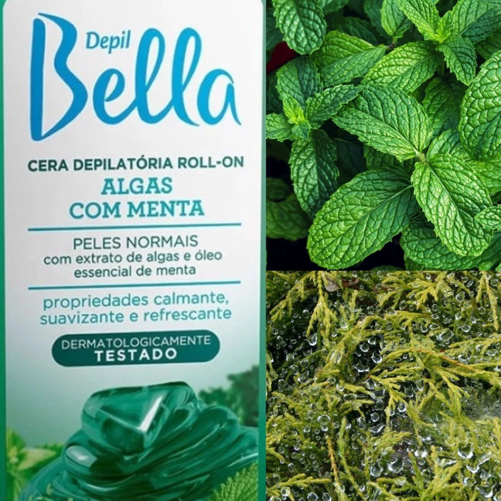 Kit 6 Refil Cera Depilatória Roll On Deo Algas Com Menta Depil Bella 100g